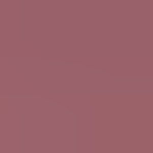 Meet your Posher, Tessa